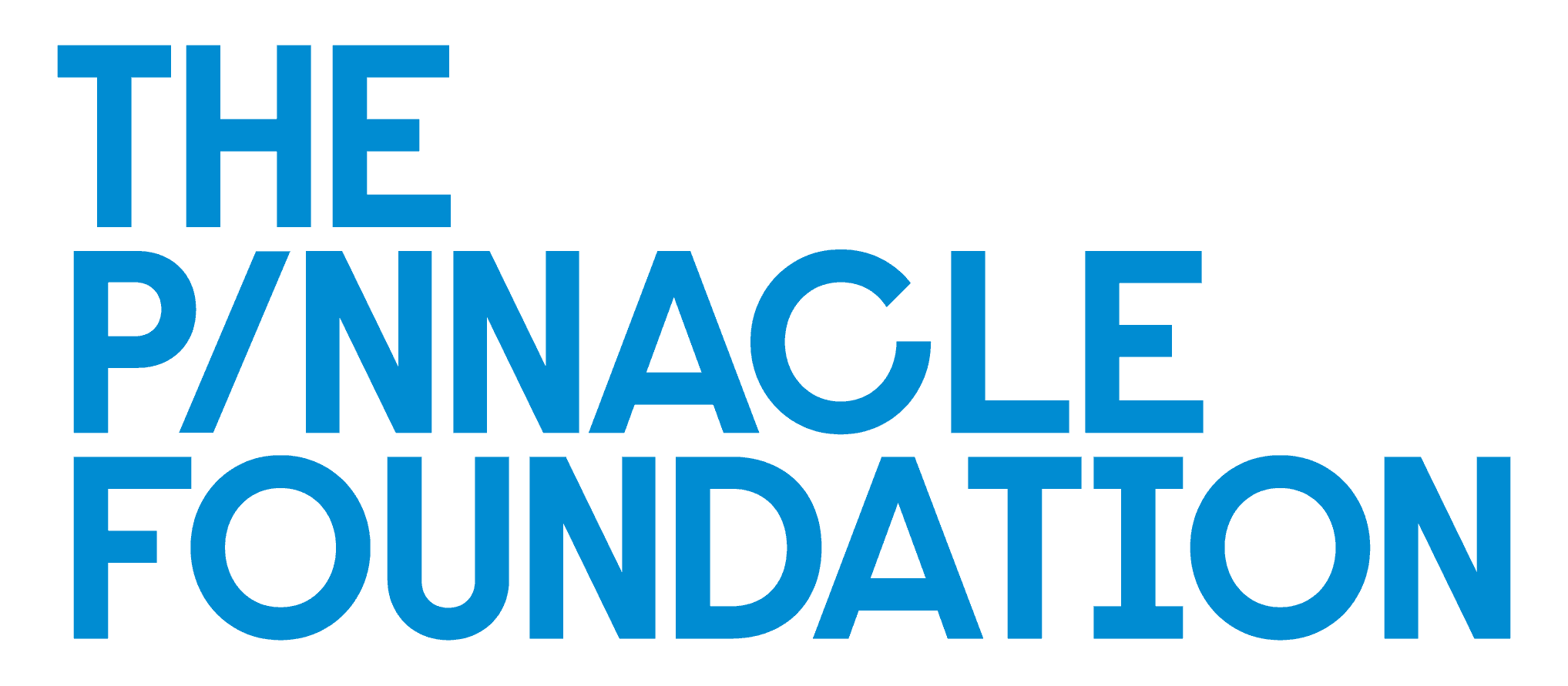 THE PINNACLE FOUNDATION